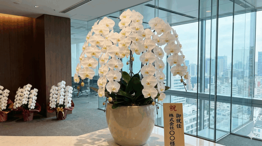 特別な贈り物には5本立ち以上のクラスも対応可能