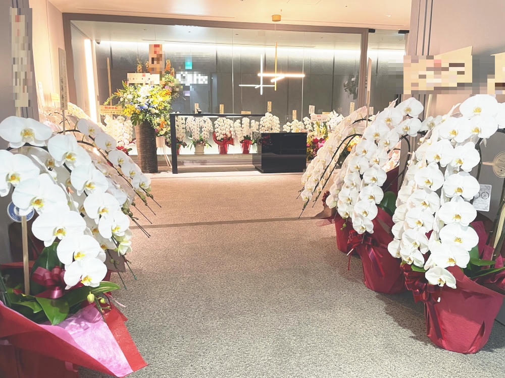 品川区内法律事務所のの開業祝いに納品した胡蝶蘭の画像