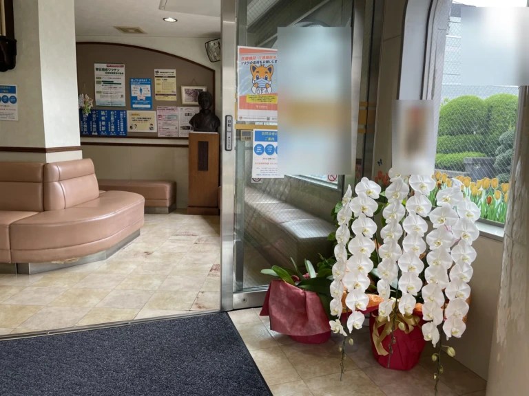胡蝶蘭 白 3本立をクリニックにお届けした様子（70周年祝い）