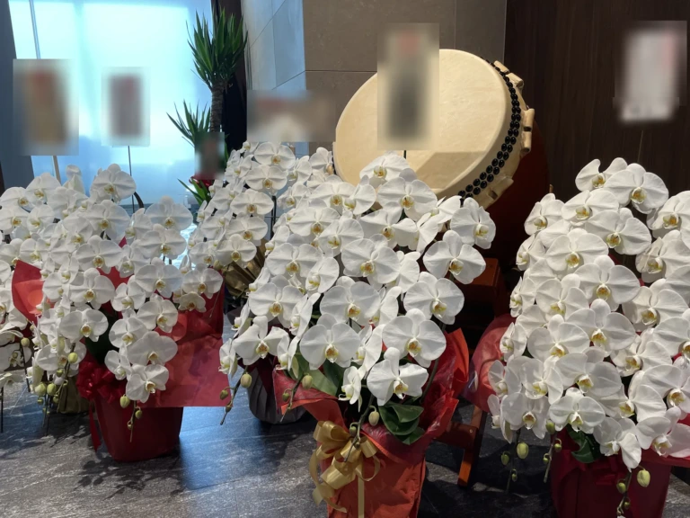 胡蝶蘭 白 3本立（ミドルクラス・2鉢）を港区愛宕・虎ノ門のオフィスビルのロビーにお届けした様子（移転祝い）