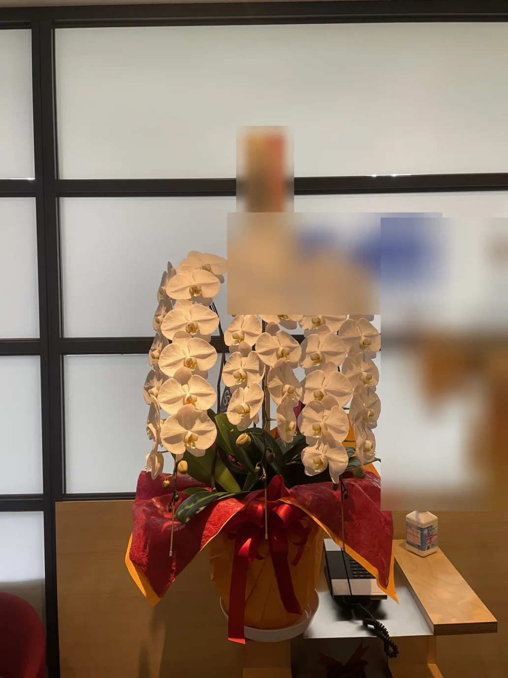 胡蝶蘭 白 3本立(ハイクラス)を港区芝大門のオフィスの受付にお届けした様子(創立25周年記念)