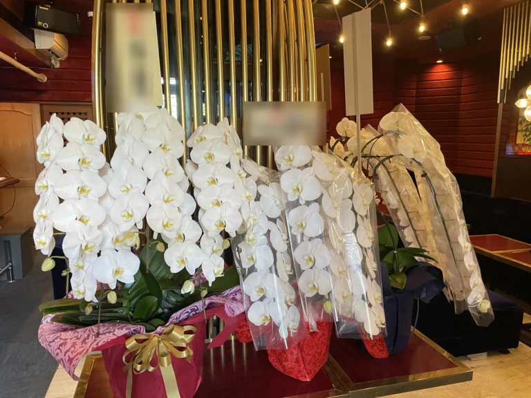 胡蝶蘭 白 3本立を飲食店にお届けした様子（開店祝い）